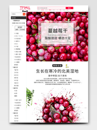 红色简约蔓越莓果干零食促销活动详情页模板